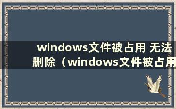 windows文件被占用 无法删除（windows文件被占用）